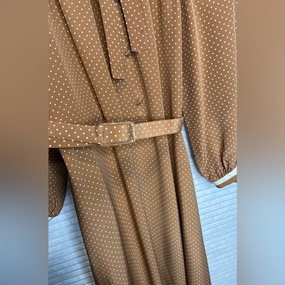 Vintage 70’s Ted Lapidus Paris Silk Maxi Dress Brown Beige Polka Dots Size 4 - Picture 10 of 15